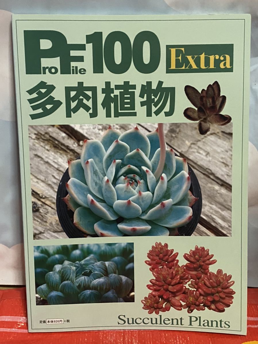 ☆Profile 100 extra 多肉植物 ピーシーズ プロファイル100 東山泰之 ピーシーズ拍卖
