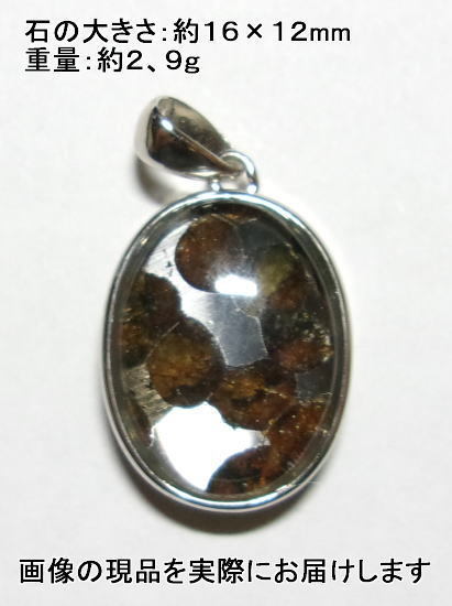 NO.25 パラサイト・セリコ隕石 Serichoオーバル ペンダント <生命力・調和力> SV925フレーム 天然石現品拍卖