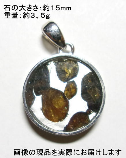 NO.28 パラサイト・セリコ隕石 ツリーオブライフ Serichoペンダント <生命力・調和力> SV925フレーム 天然石現品拍卖