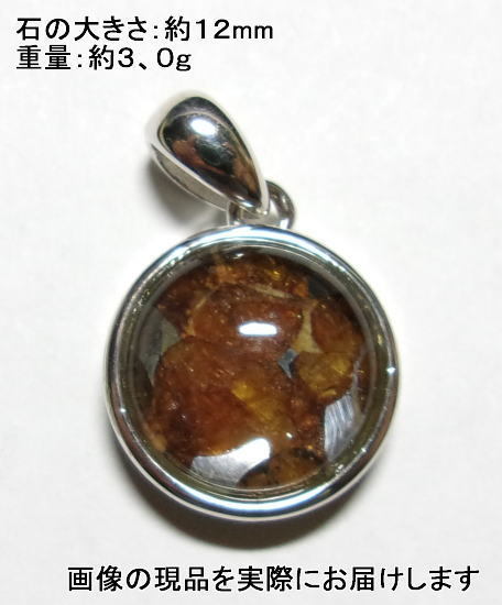 NO.76 パラサイト・セリコ隕石 Serichoペンダント <生命力・調和力> SV925フレーム 天然石現品拍卖