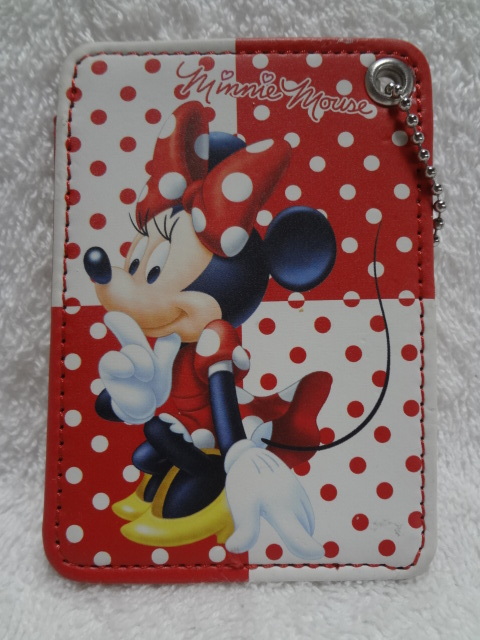 DSパスケース ミニードット拍卖