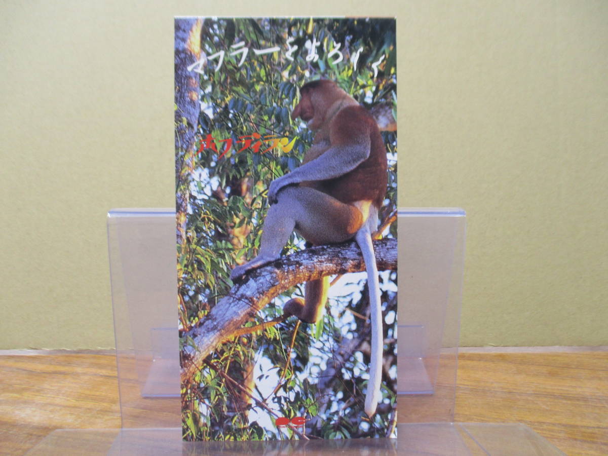 S-2297 【8cm シングルCD】見本品 美盤 / ホフディラン マフラーをよろしく / 川 / PCDA-00907 拍卖