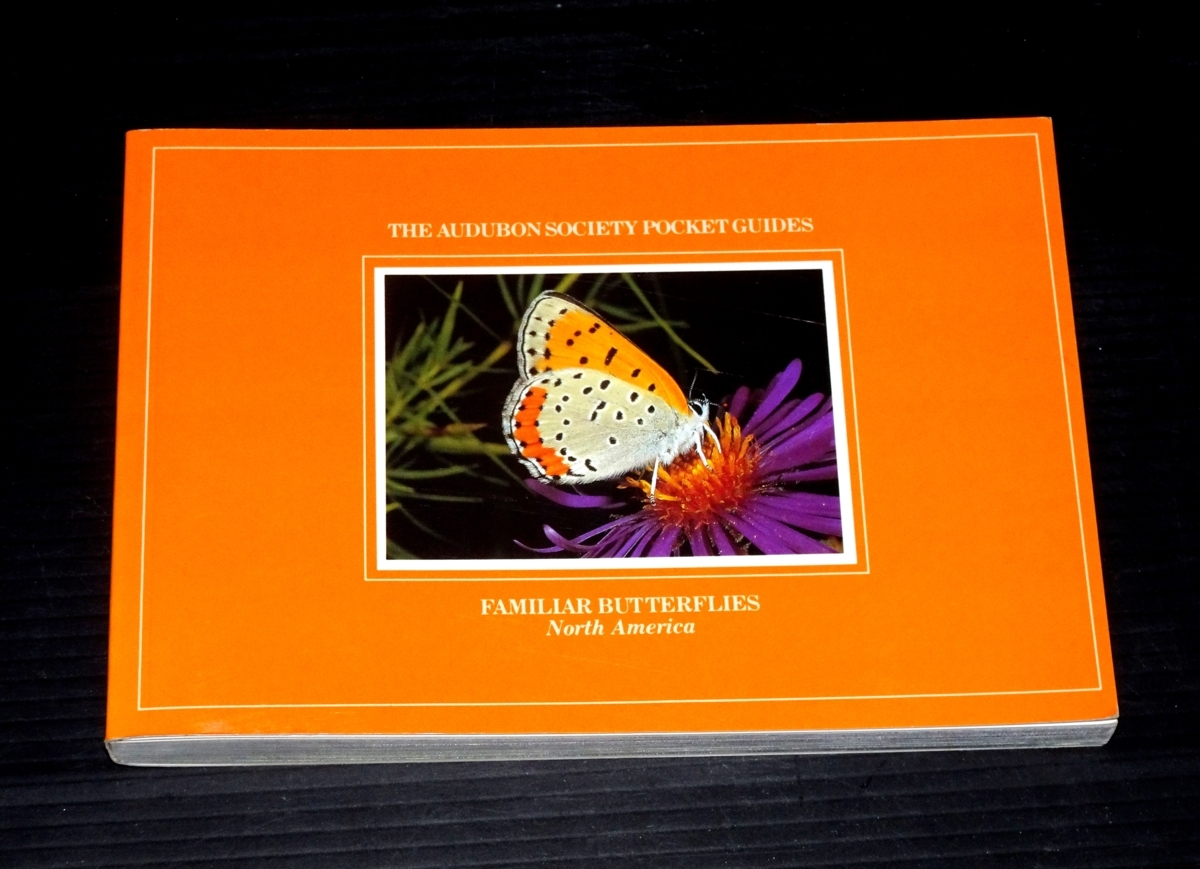 『The Audubon Society Pocket Guides Familiar Butterflies of North America』拍卖