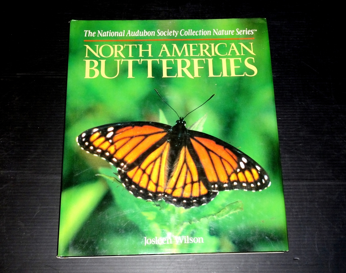 『Norte American Butterflies National Audubon Society Collection Nature Series』拍卖