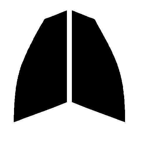 ゼノン2 オーロラ84 運転席、助手席 BMW 5シリーズ セダン F10 カット済みフィルム拍卖