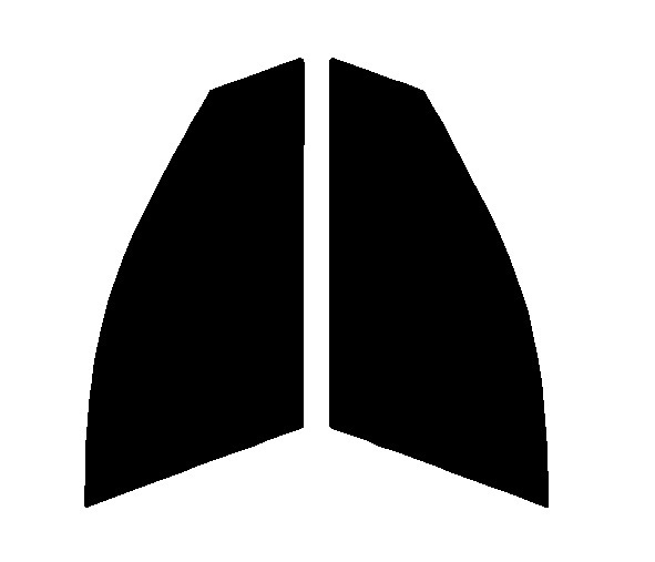 スパッタシルバー70 運転席・助手席 BMW 5シリーズ ツーリング F11 カット済みカーフィルム拍卖