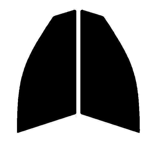 ゴースト2 ネオ オーロラ79 運転席、助手席 BMW 5シリーズ セダン E60 カット済み フィルム拍卖