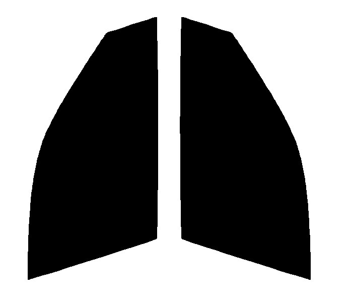 スパッタシルバー50 運転席・助手席 BMW 3シリーズ ツーリング E46 カット済みカーフィルム拍卖