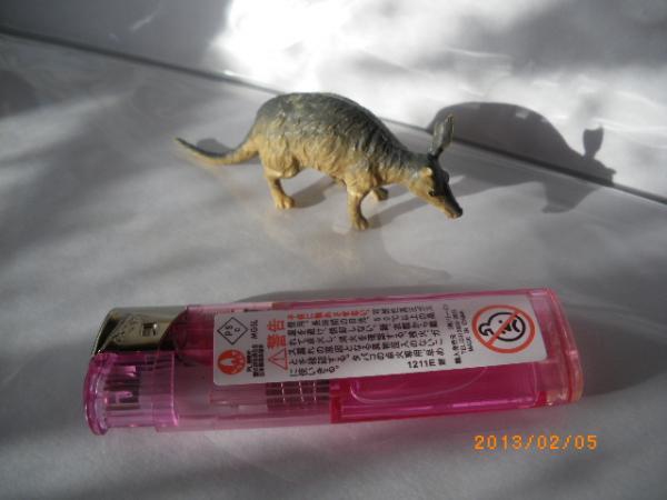 激レア動物シリーズ訳あり品☆アリクイの仲間?☆1体片耳欠損拍卖