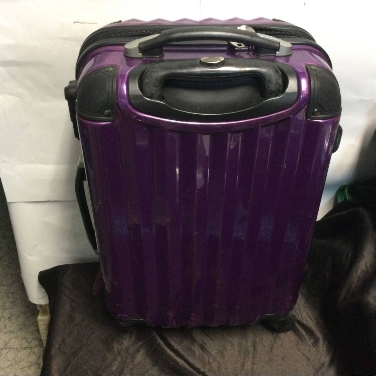 Siffler RED SIGN GREEN WORKS キャリーバッグ カギ付き シフレ スーツケース拍卖