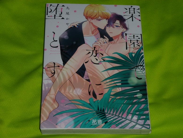 ★楽園で恋に堕とす★リーフレット付き★九尾かや★送料112円拍卖