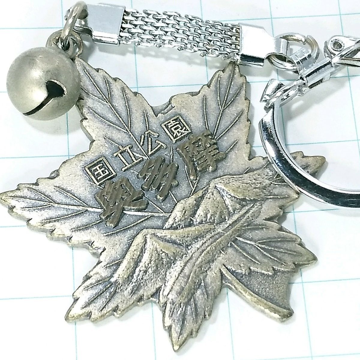 送料無料)奥多摩 ご当地 観光地 登山 山登り 旅行 記念 キーホルダ A10462拍卖