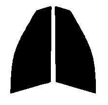 ゴースト2 ネオ オーロラ79 運転席、助手席 インスパイア UA4・UA5 カット済み フィルム拍卖