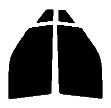 スモーク 26% 運転席、助手席 MRワゴン MF22S カット済みフィルム 国産拍卖