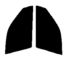 スーパーブラック 5% 運転席、助手席 アスコット CE4・CE5 カット済みフィルム 国産拍卖