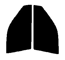 ゼノン2 オーロラ84 運転席、助手席 インスパイア UA1・UA2・UA3 カット済みフィルム拍卖