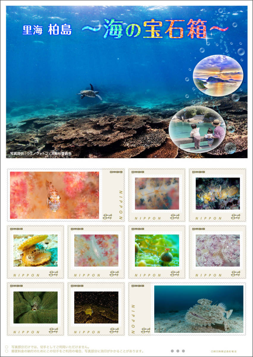 ☆未開封新品/高知県限定/希少完売品フレーム切手「里海 柏島 ~海の宝石箱~」かしわじま84円記念切手釣りバカ日誌/足摺宇和海国立公園拍卖