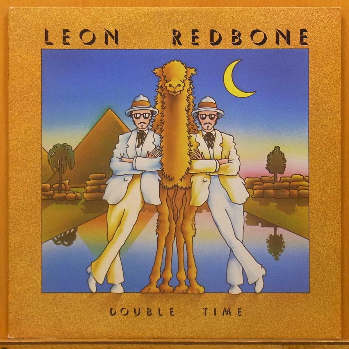 ◆美品!Bob Dylanのお気に入り!ダブル洗浄済!★Leon Redbone『Double Time』US LP #59886拍卖