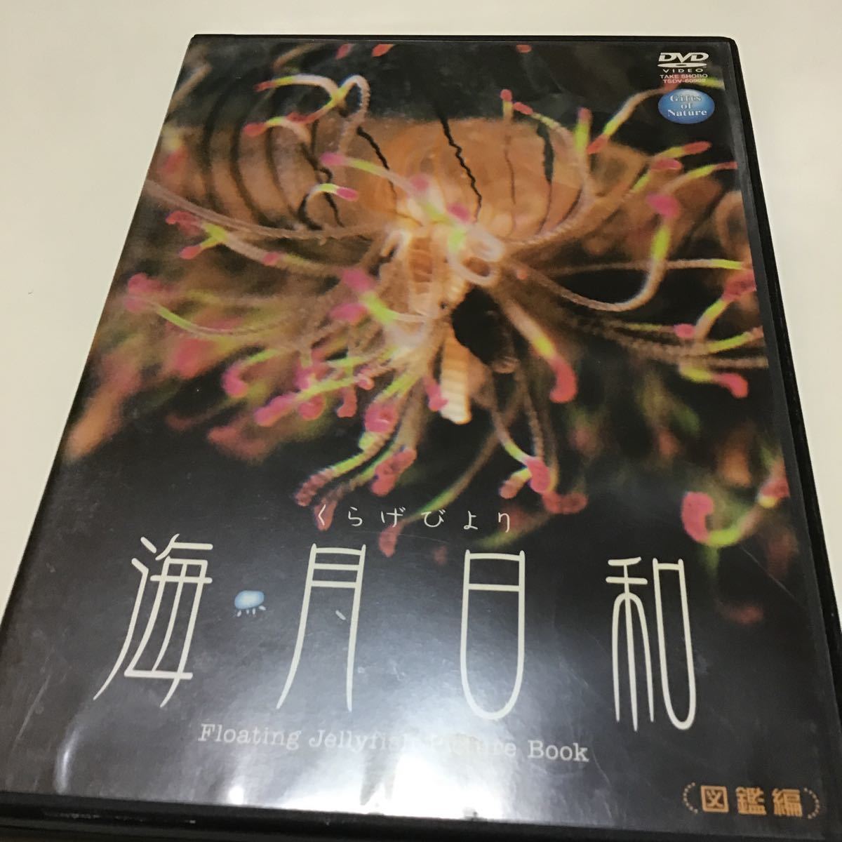 Gifts of Nature 海月日和 <図鑑編> (趣味/教養)拍卖