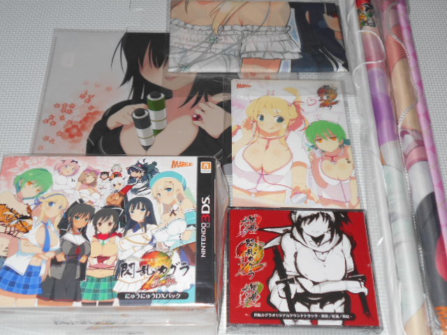 3DS★閃乱カグラ2 真紅 にゅうにゅうDXパック 新品未使用&予約特典CD付&ソフマップ B2タペストリー&ゲオ A4クリアファイル&いまじん拍卖