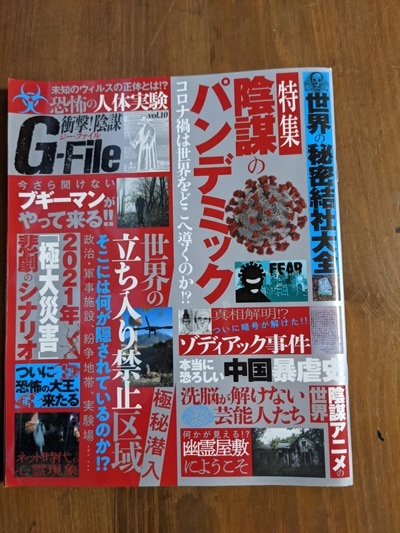 G-File ジー・ファイル vol.10 衝撃 陰謀のパンデミック/ゾディアック事件/世界の秘密結社大全拍卖