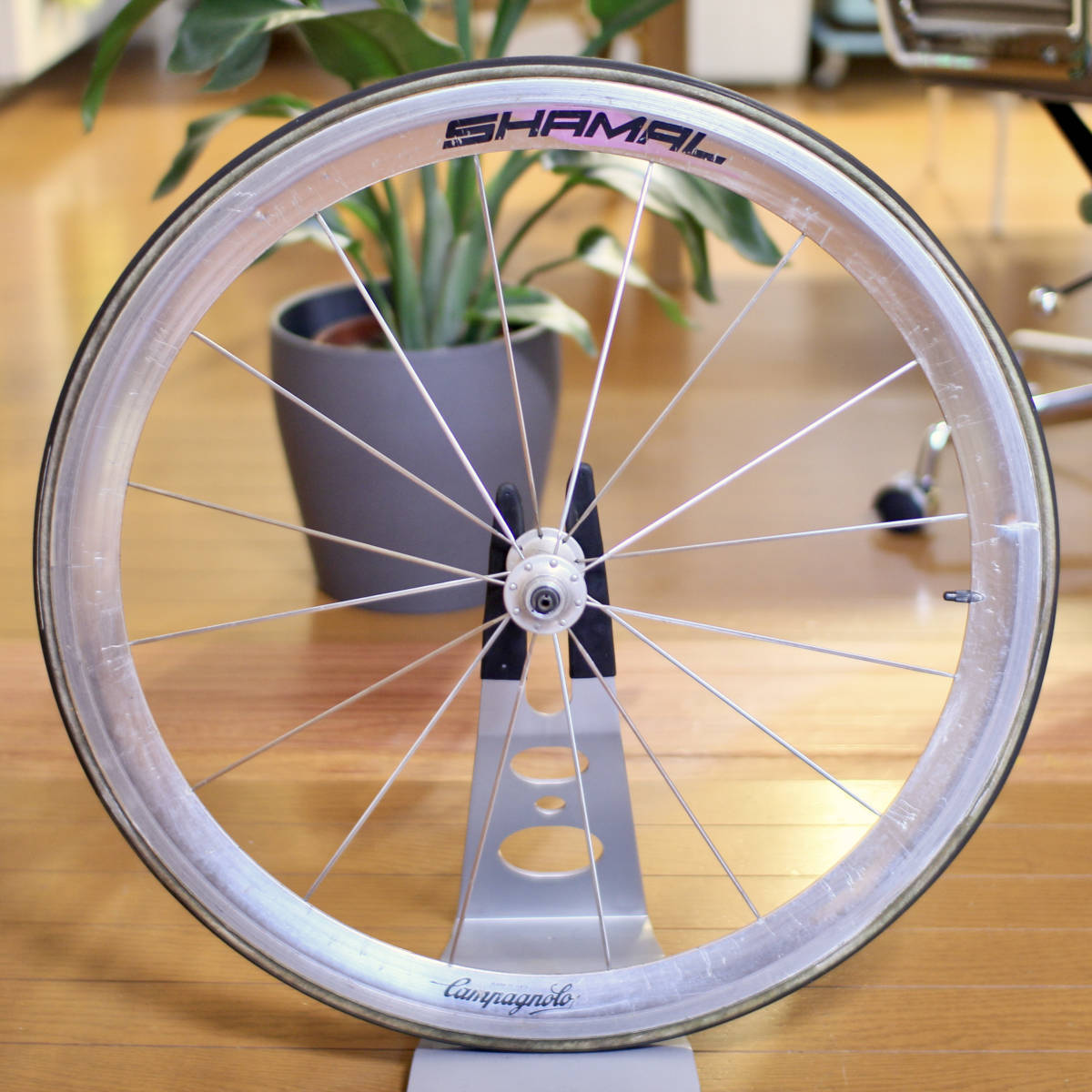 レア 650C Campagnolo カンパニョーロ SHAMAL シャマル フロントホイール ファニー パシュート拍卖