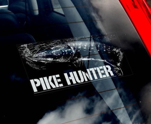 海外限定 新品 パイク カワカマス フィッシング 魚釣り C229 220 x 100mm ステッカー拍卖