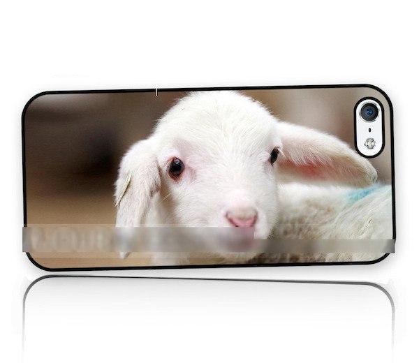 iPhone5 5S5CSEヒツジ 羊 アートケース保護フィルム付拍卖