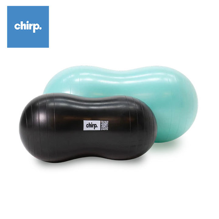 チャープ Chirp クラウド Cloud ストレッチボール 2個セット ブラックミント エクササイズ マッサージ 運動 背骨 chcloud拍卖