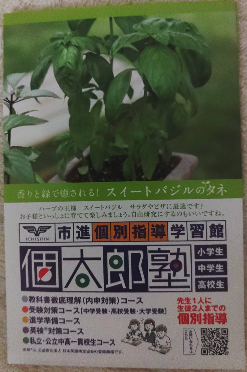 未開封品 スイートバジル スウィートバジル 種 タネ拍卖