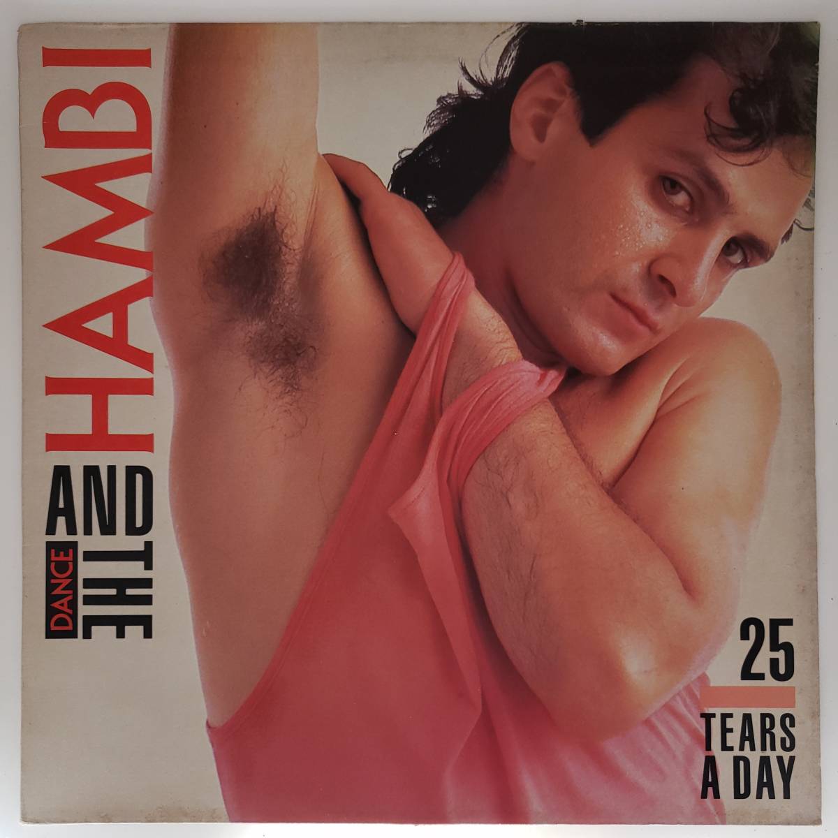 良盤屋◆LP◆UK 輸入盤 Rock, Pop:  ハンビ・アンド・ザ・ダンス  Hambi And The Dance/25 Tears A Day/1984 ◇P-3438拍卖