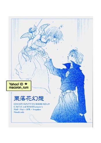 ゴーストハント同人誌★ CASTLE and TOWER【 栗落花幻想 】ナル×麻衣 ナル麻衣 調査拍卖