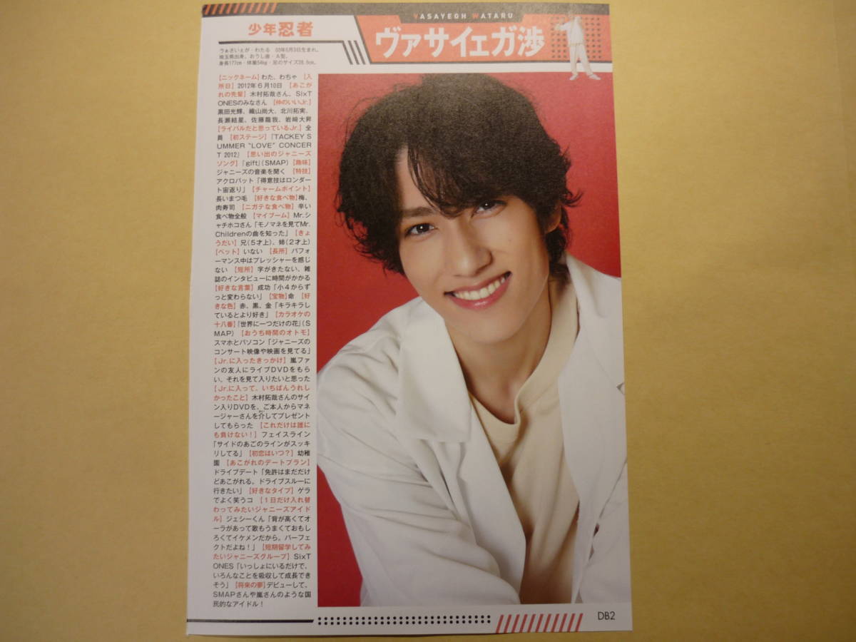 少年忍者 ヴァサイェガ渉 2022年 Myojo 明星 ジャニーズJr データBOOK 1枚拍卖