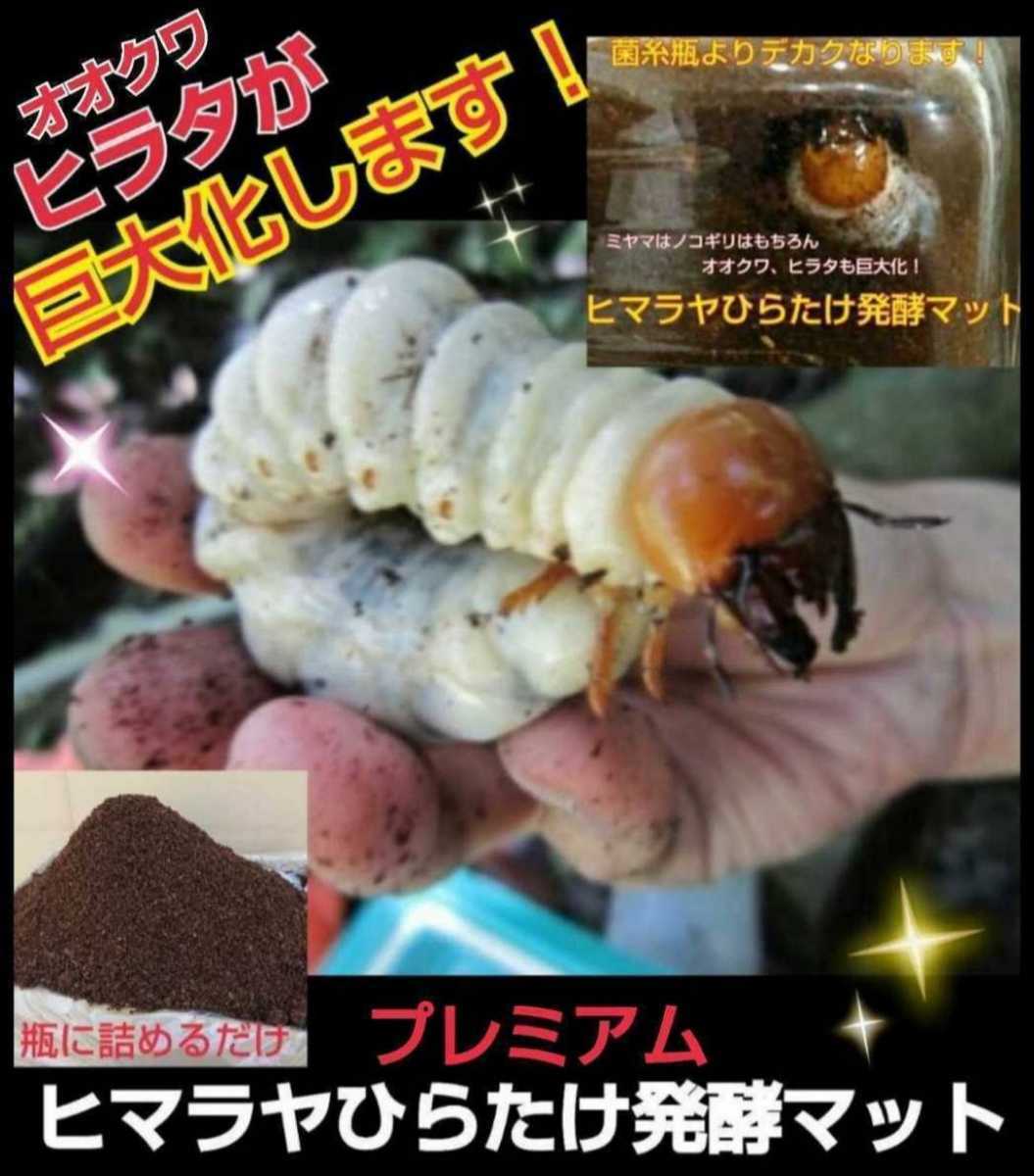 進化した!プレミアム3次発酵クワガタマット☆栄養添加剤、共生バクテリア3倍配合!アンテ・ミヤマ・ヒラタ・ニジイロ・ノコギリに抜群!拍卖