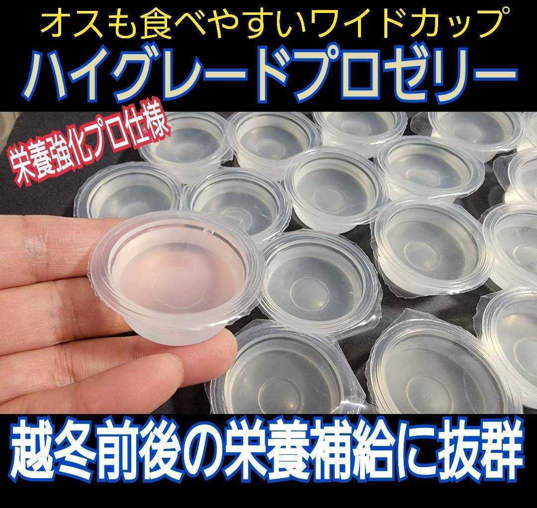 クワガタ、カブトムシの餌はコレ!ハイグレードプロゼリー【100個】食べやすいワイドカップ☆トレハロース強化!産卵促進・長寿効果抜群拍卖