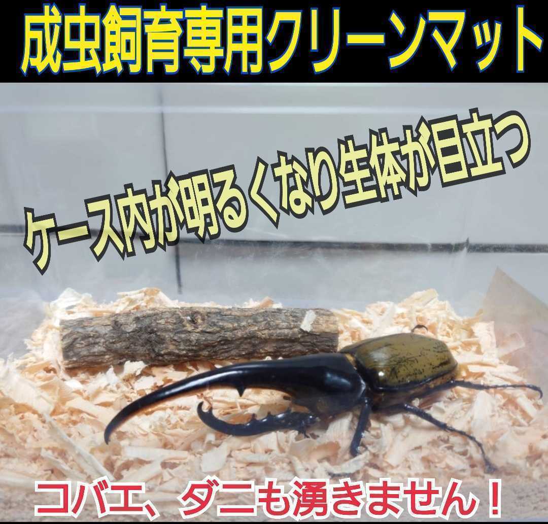 クワガタ、カブトの成虫管理はこれが一番です!爽やかな香りの針葉樹マット☆ケース内が明るくなり生体が目立ちます!ダニ、コバエ湧かない拍卖