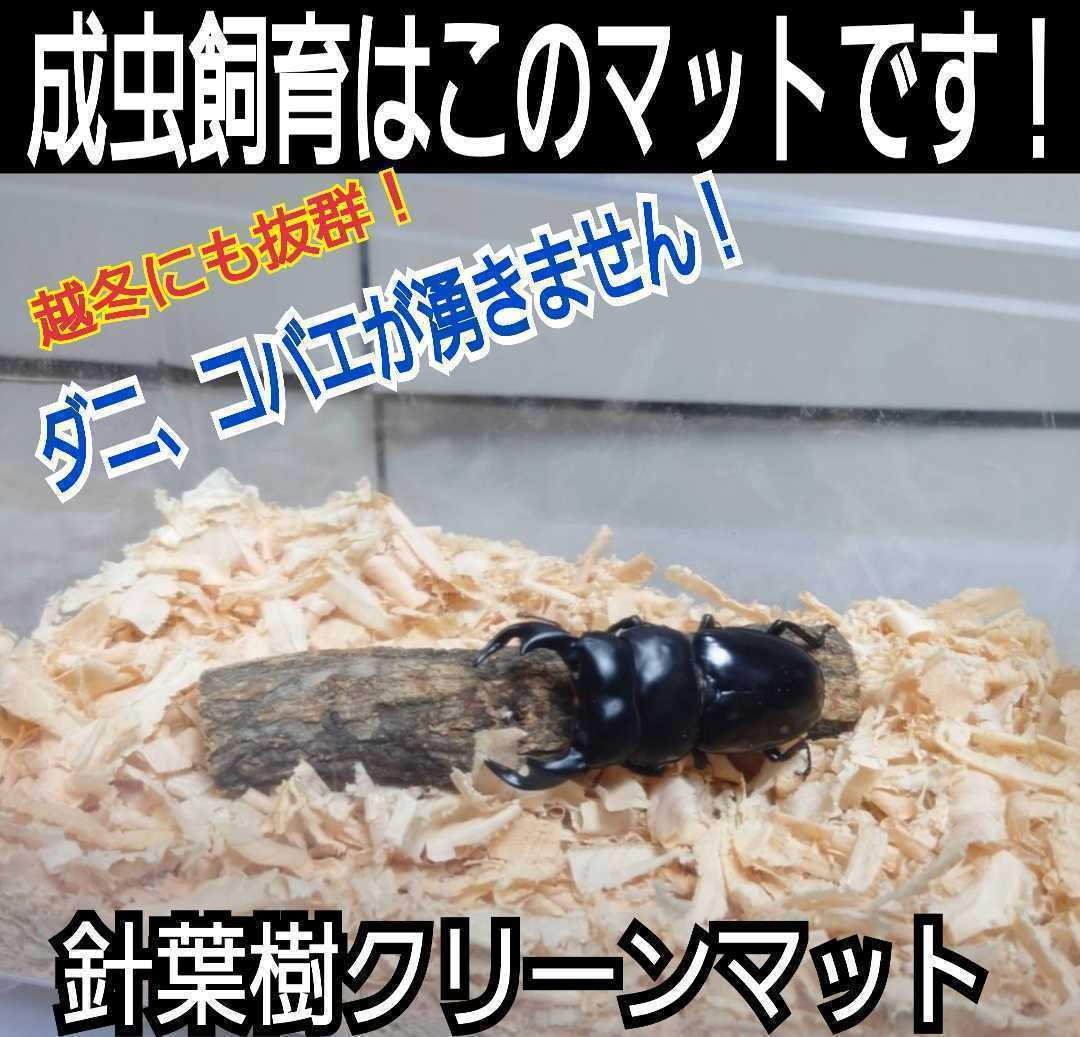クワガタ、カブトの成虫管理はこれが一番です!爽やかな香りの針葉樹マット☆ケース内が明るくなり生体が目立ちます!ダニ、コバエ湧かない拍卖