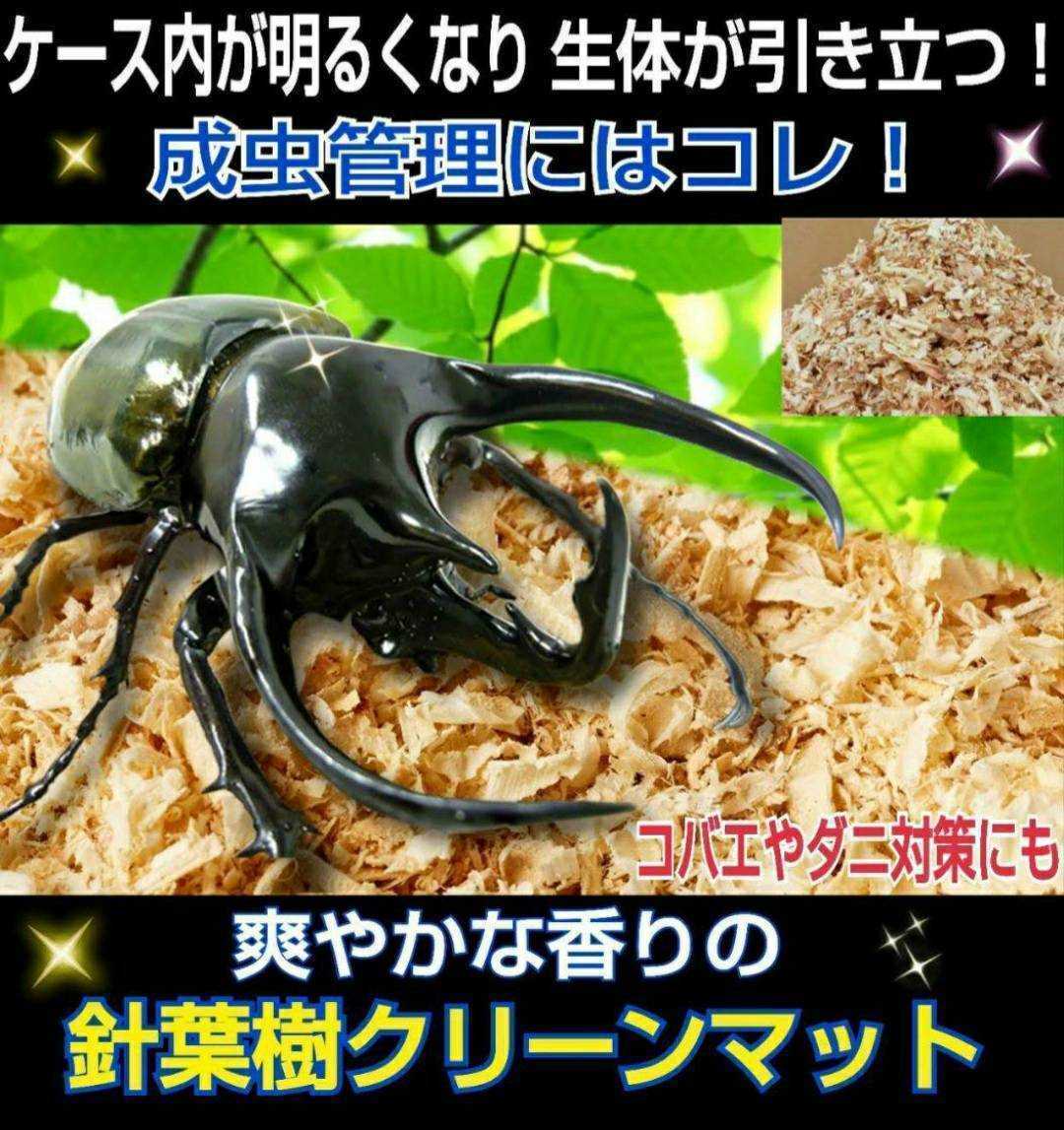 カブトムシ、クワガタの成虫管理はこれが一番!爽やかな香りの針葉樹マット☆ケース内が明るくなり生体が目立ちます!ダニ・コバエ湧かない拍卖