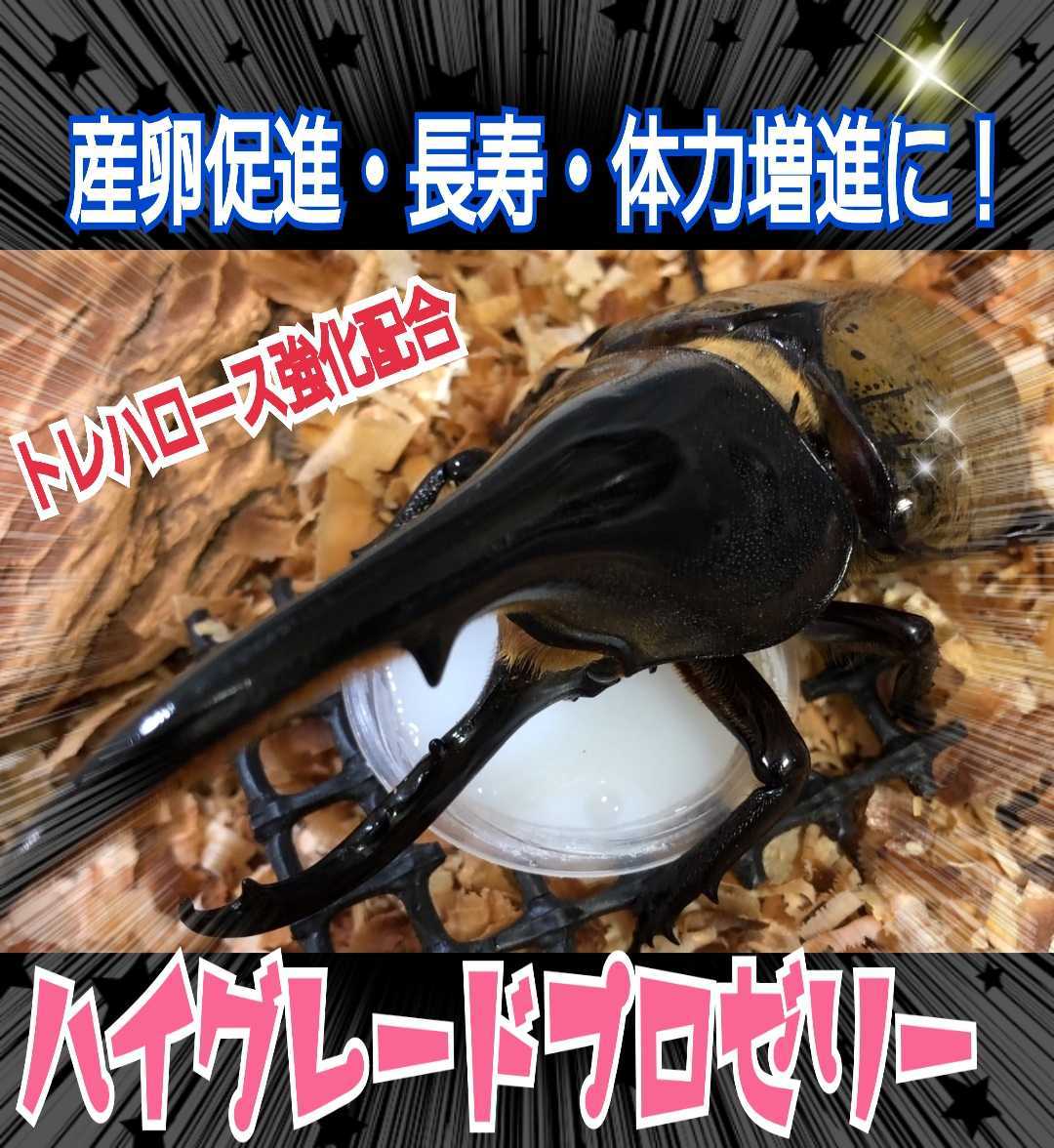 極上ハイグレードプロゼリー【100個】特殊アミノ酸強化配合!産卵促進・長寿・体力増進に抜群!クワガタの餌、カブトムシの餌 昆虫ゼリー拍卖