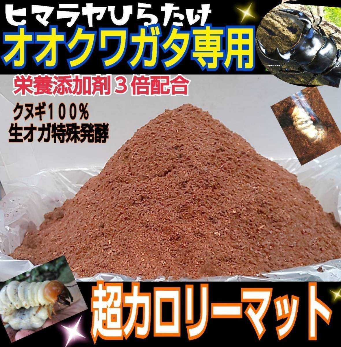 送料無料!オオクワガタ専用☆超高カロリーマット ☆クヌギ生オガ特殊発酵!共生バクテリア・特殊アミノ酸など栄養添加剤3倍配合☆プロ仕様拍卖