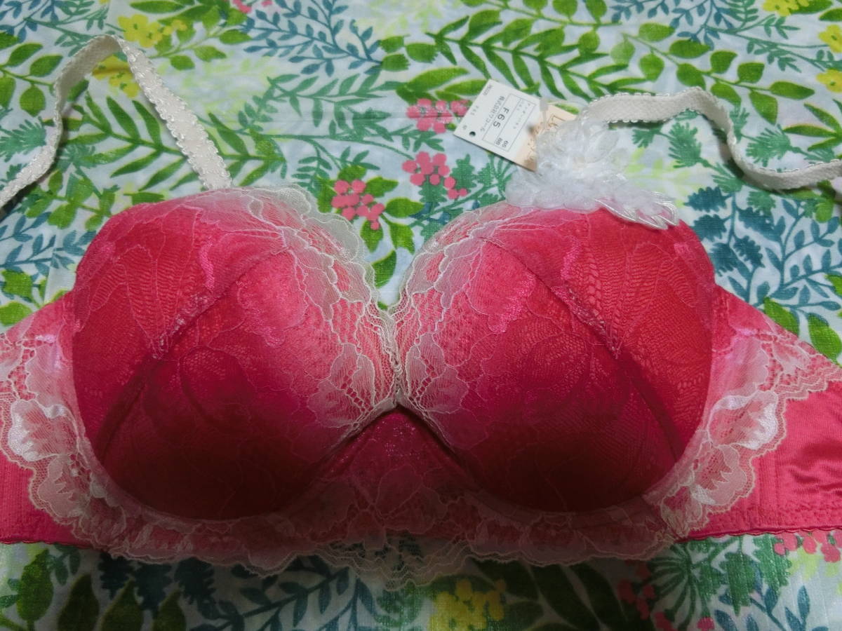 ワコールwacoal レシアージュ ブラジャー F65♪拍卖