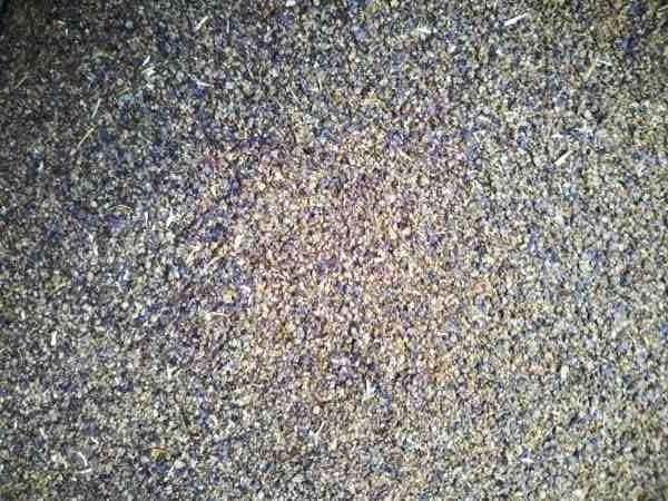 菜種粕(圧抽)20kg 飼料 エサ拍卖