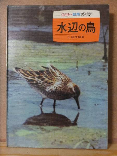 水辺の鳥 小林桂助 Vカバ カラー自然ガイド拍卖