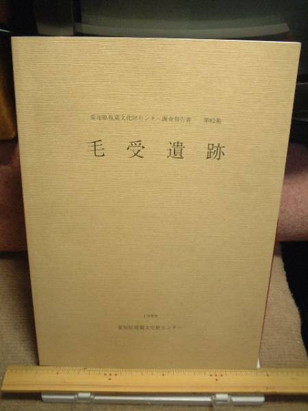 愛知県埋蔵文化財センター調査報告書第82集/毛受遺跡拍卖