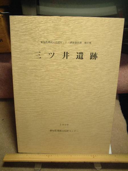 愛知県埋蔵文化財センター調査報告書第87集/三ツ井遺跡拍卖