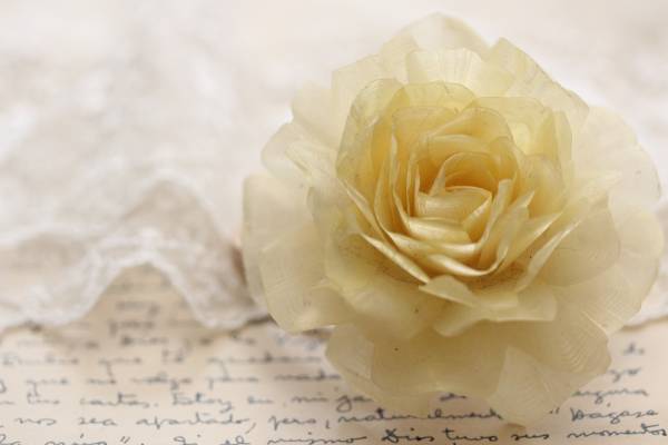 *フラワーヘアゴム拍卖