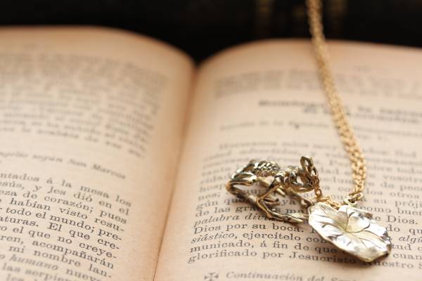 *フロッグボーン&ロータスネックレス拍卖