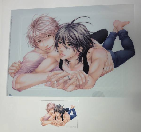 左京亜也 クロネコ彼氏 【A4クリアファイル&ステッカー】 コミコミスタジオ記念フェア 非売品拍卖