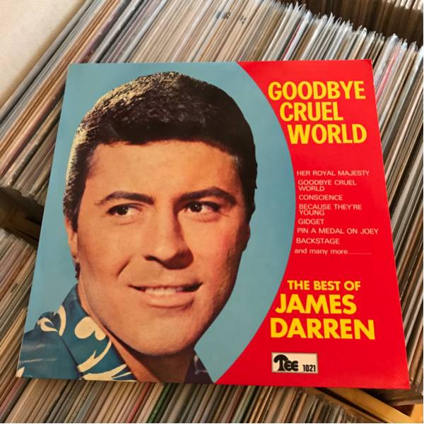 JAMES DARREN LP GODBYE CRUEL WORLD オールディーズ拍卖