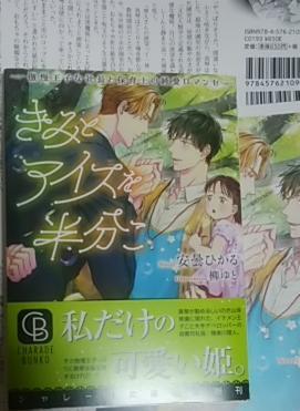 激レア/ SS+小冊子+帯付「きみとアイスを半分こ 傲慢王子な社長と保育士の純愛ロマンセ」安曇ひかる/柳ゆと拍卖